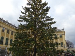 Christkindlmarkt Schönbrunn am 10. 11. 2025